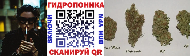 Марихуана сатива магазин Серов